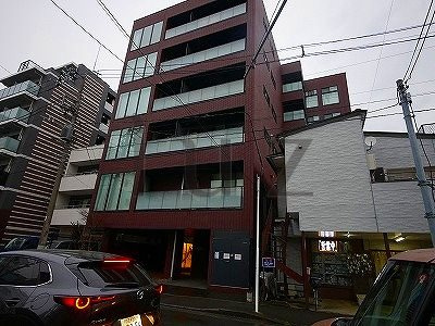 カエデの外観