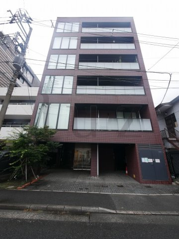 カエデの外観