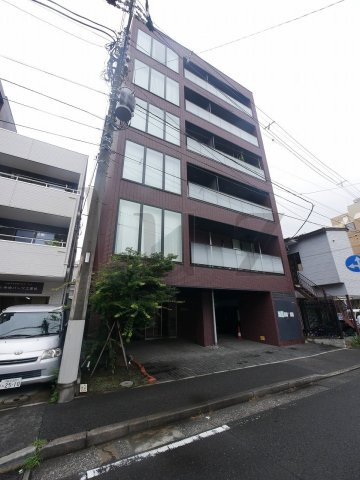 カエデの外観