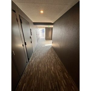 ディアレイシャス今池のその他