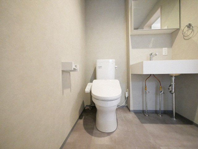 CRASTINE小路東Aのトイレ