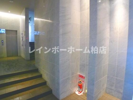 特典：仲介手数料が50％OFFです‼のロビー|清潔なロビーです