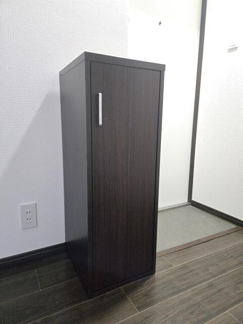 Ｄｅｌｆｉｎｏのその他
