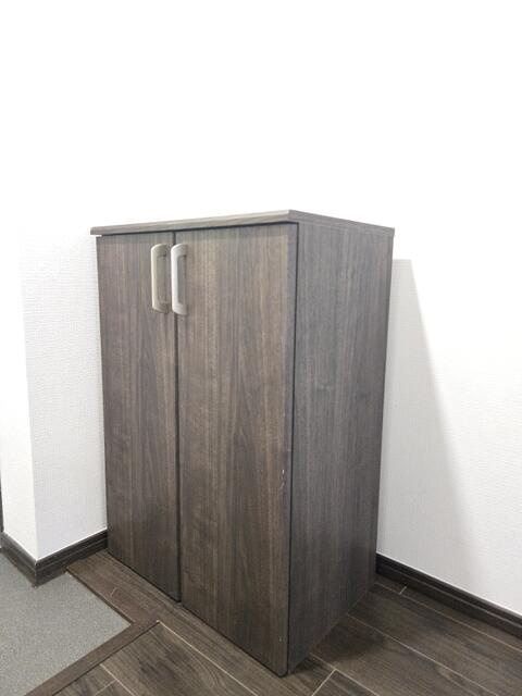 Ｄｅｌｆｉｎｏのその他