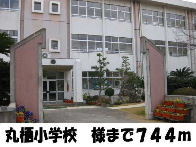 【周辺】 | バンビーノ　Ⅰ | 丸栖小学校様まで744m