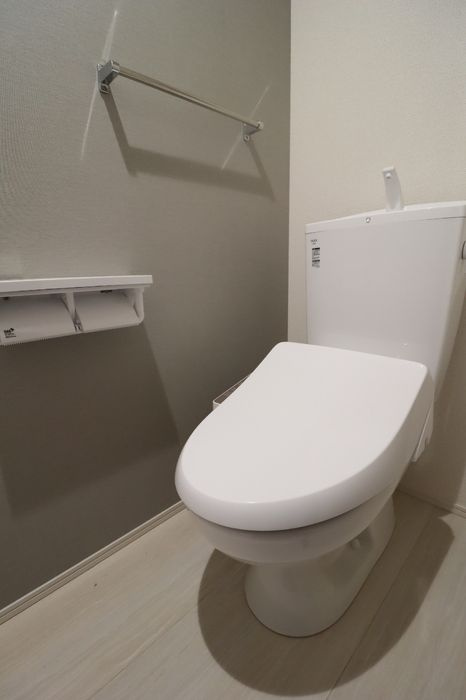 D-ROOM 分梅のトイレ