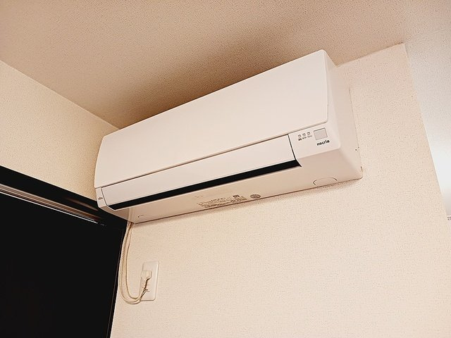 ライゼ　イヅミヤ　Ⅱのその他