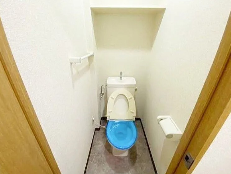 スカイコート目白台のトイレ