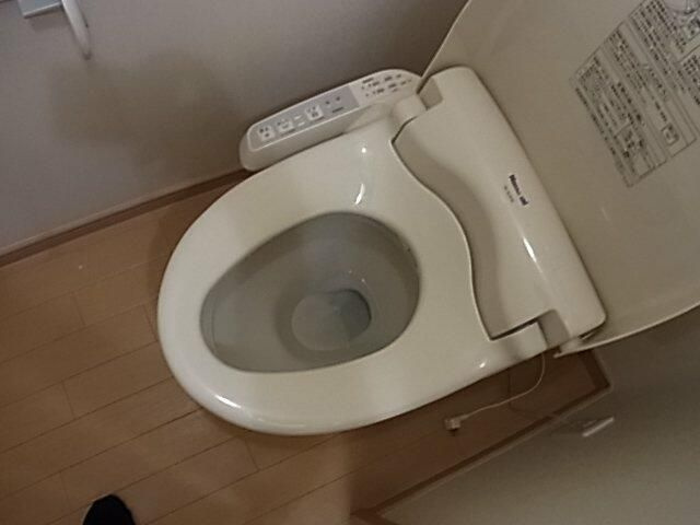 Ｍ．サリチェのトイレ