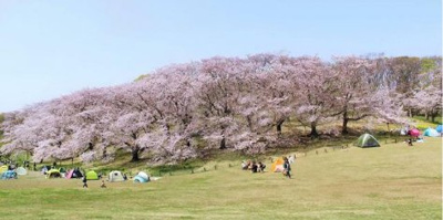 【周辺】 | プレシス横濱山手パークフロント
