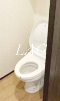 【トイレ】 | Ｖｉｌｌａ東大宮 | トイレです。（同仕様です。）