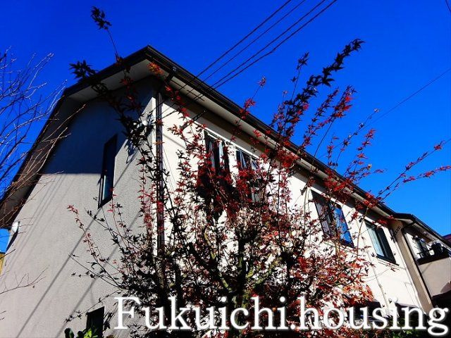センペルハウスの外観