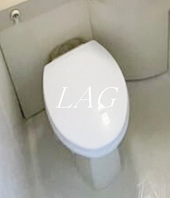 【トイレ】 | ウィング246 | トイレです。