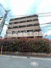 メインステージ永福町の画像
