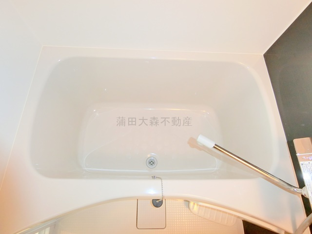 The One Nishikamata(ザワン西蒲田の浴室