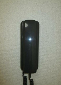 セレーナロカのセキュリティ