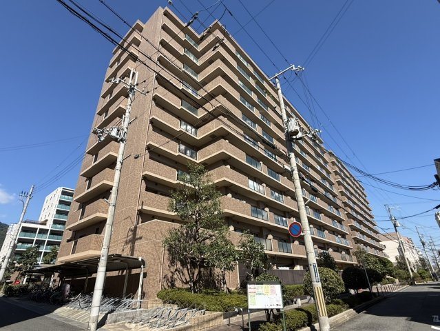 レピア・フェルティ本山