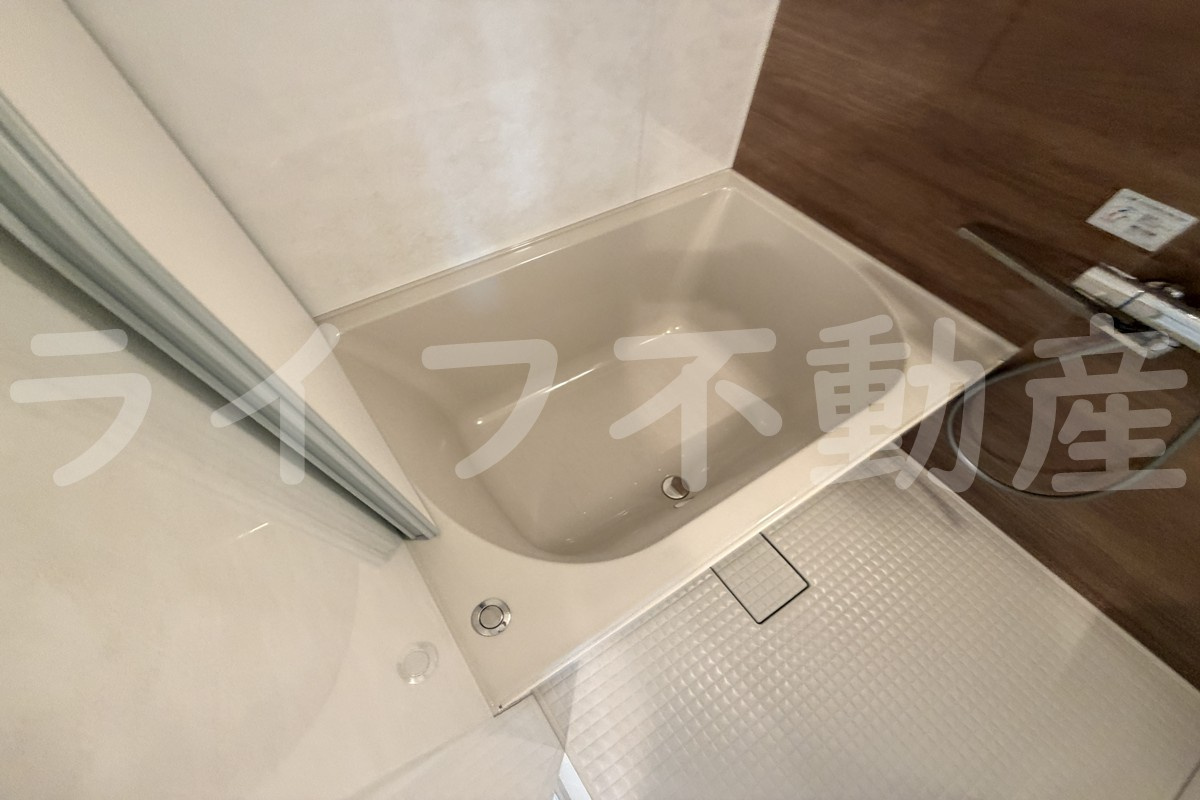 リーセスハイムの浴室