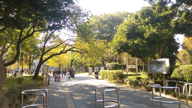 びゅうリエット北浦和のその他|北浦和公園