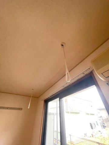 ウェールのその他