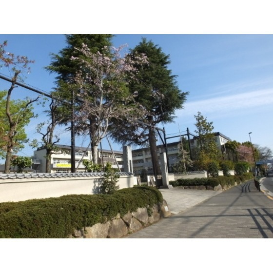 ハイツ　マイルドの周辺|小学校「調布市立深大寺小学校まで263m」