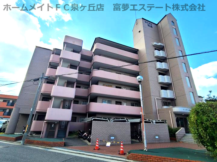 セルサス和泉