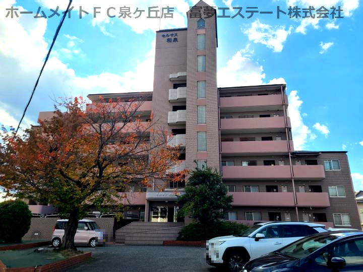 セルサス和泉の外観