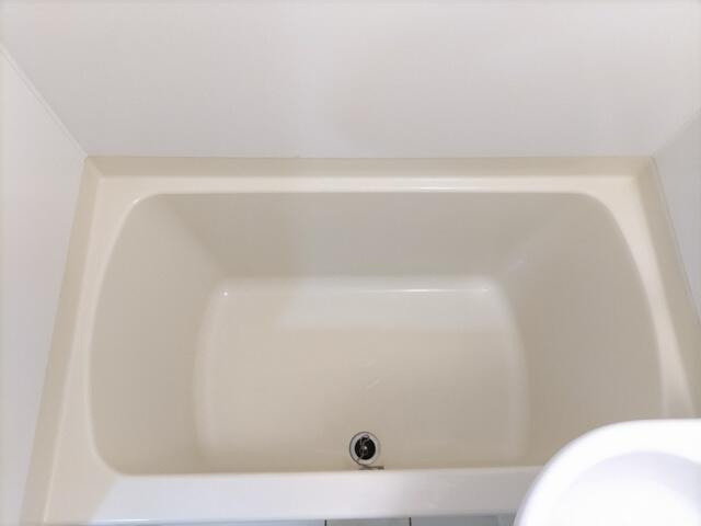 アルメリア新宿(アルメリアシンジュク)の浴室