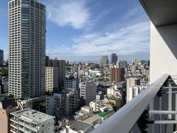 白金ザ・スカイ東棟のその他