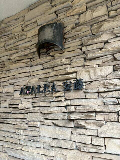 アザレア安藤のその他