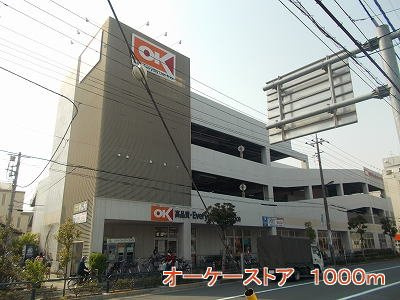 プレーヌ　ジャルダンの周辺|オーケーストアまで1000m