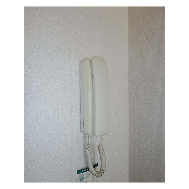 カサグランデのその他