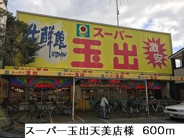 メゾン－６の周辺|スーパー玉出天美店様まで600m