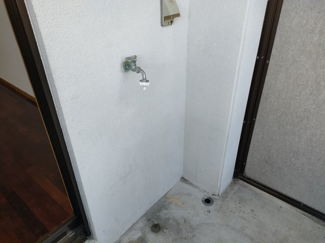 グリーンマンションⅡのその他