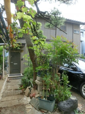 【エントランス】 | 鈴木貸家 | エントランス部。