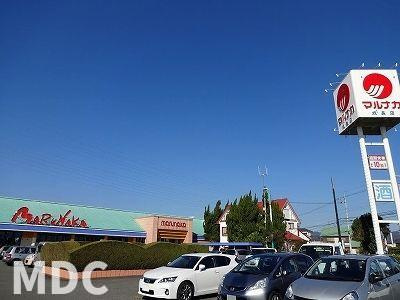 グランデ　成長　Ａのその他