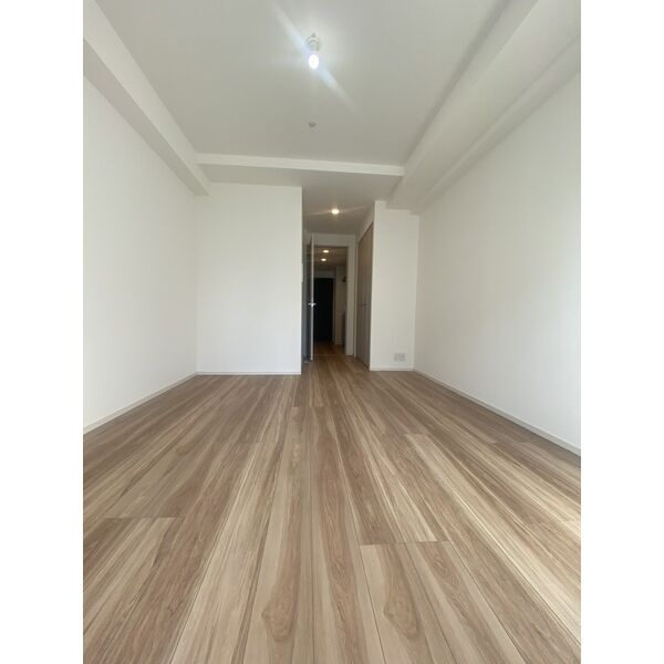 S-RESIDENCE堀田駅前の内装