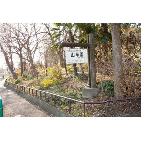 メッセ高井戸の周辺|公園「三泉淵緑地まで521ｍ」