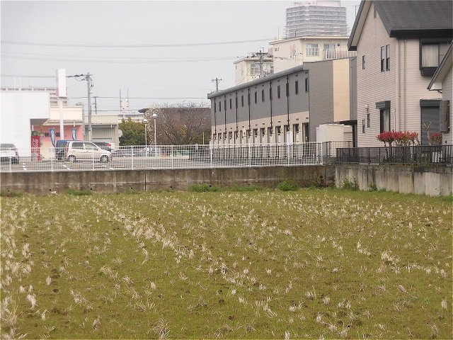 梅満土地の周辺