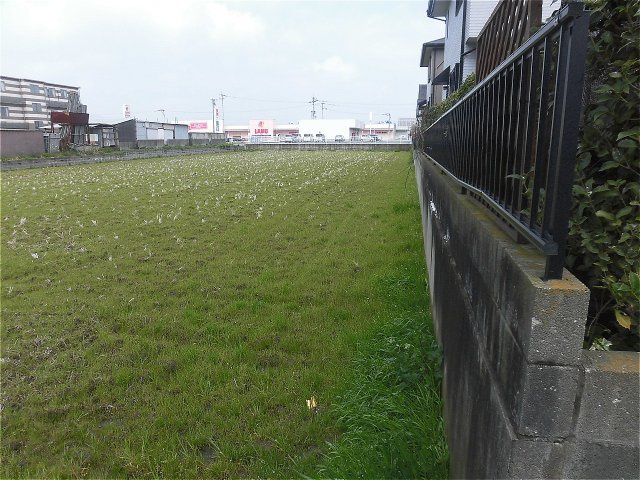 梅満土地の周辺