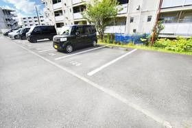 横須賀市浦上台４丁目の賃貸マンションの駐車場