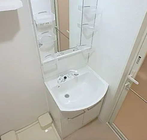 ブライズ板橋クレヴィスタの洗面所