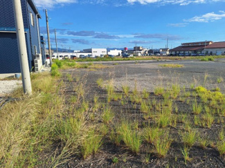 【外観】 | 鳥取市賀露町売地