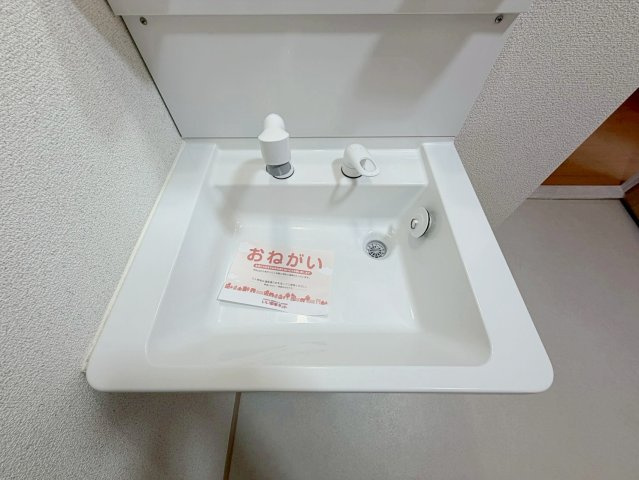 サンハイツ坂末の洗面所