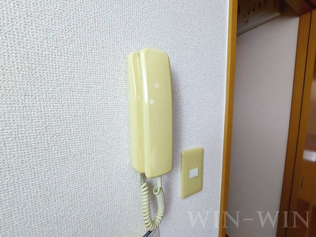 ルミエール細谷のセキュリティ