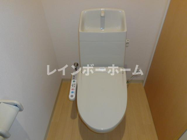 ラナンキュラスのトイレ