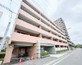 コスモ西大島ロイヤルフォルムの外観