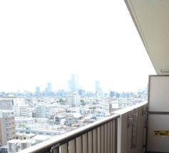 板橋パーク・ホームズの展望