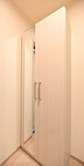 ミラ テラス ハスネの収納