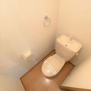 千葉市花見川区検見川町３丁目の賃貸マンションのトイレ